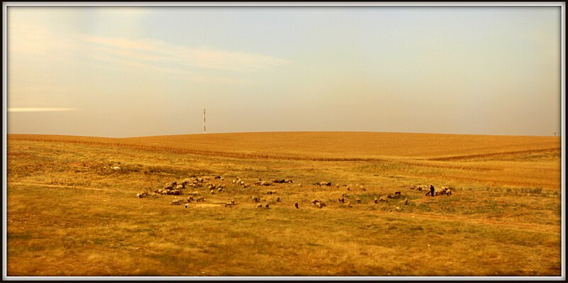 File:PikiWiki Israel 35391 Fields in the Negev.JPG