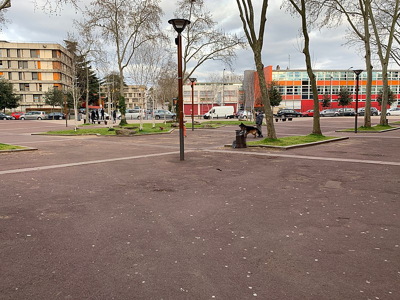 File:Place Bouleaux - Créteil (FR94) - 2021-03-21 - 1.jpg