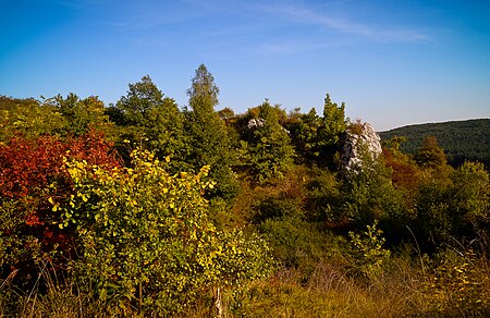 Podłęże panoramio