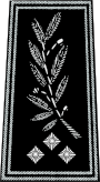 Shoulder insignia of a police inspecteur general (France) Police nationale-inspecteur general.svg