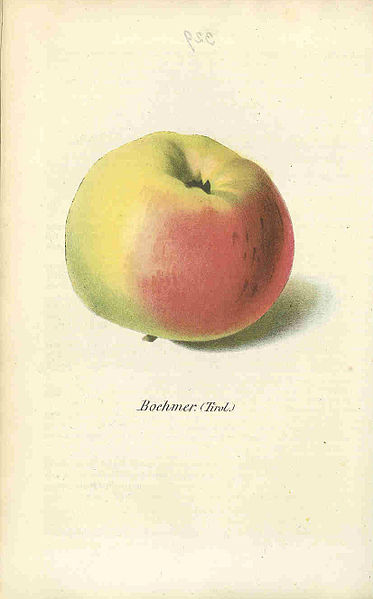 File:Pom.Mon.Hefte 1857 Boehmer.jpg