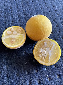 Dreiblättrige Orange – Wikipedia