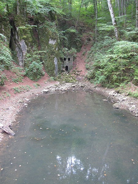 File:Pond near Snežnik Castle (3948323080).jpg