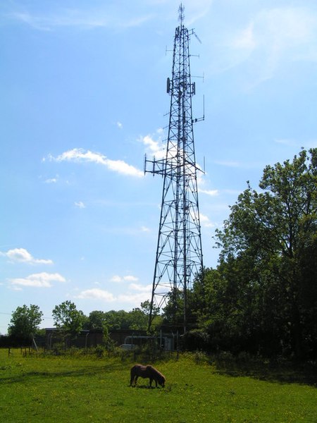 File:Pony and transmitter - geograph.org.uk - 182702.jpg