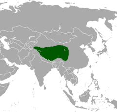 Distribuição territorial da gazela-mongol