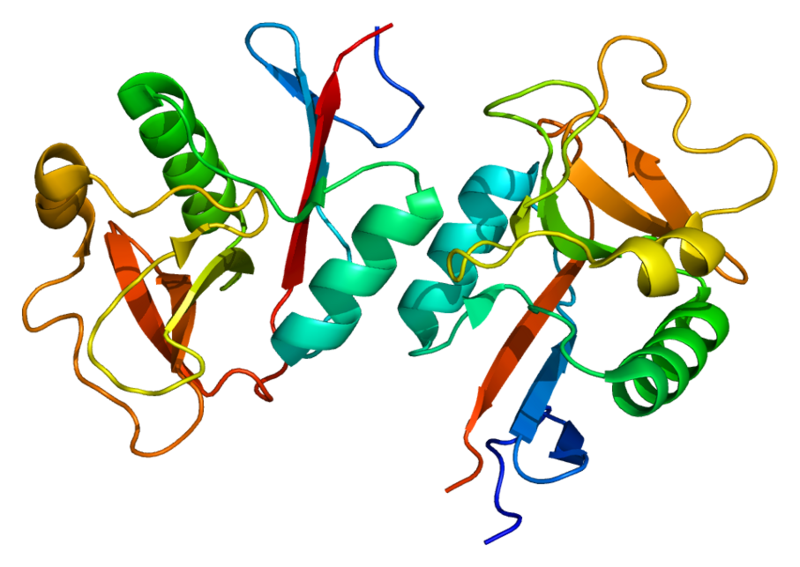 File:Protein CLEC4M PDB 1k9j.png