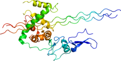 Protéine COL3A1 PDB 2V53.png