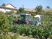 soins du vignoble et pulvérisation