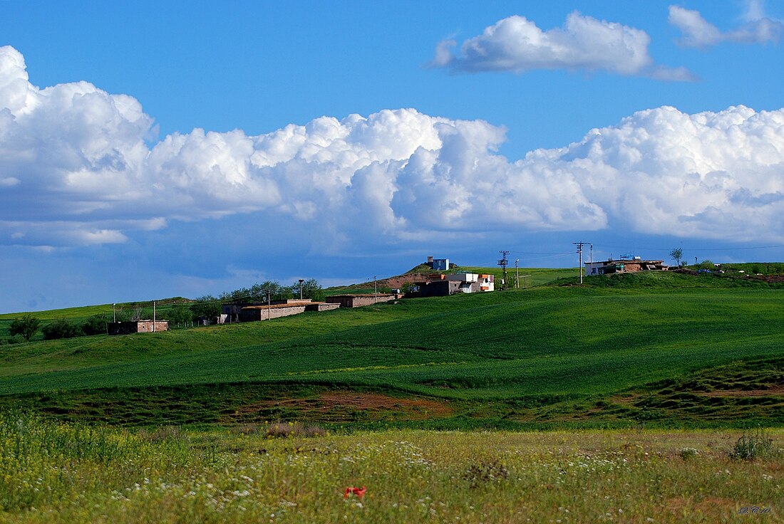 Qereçoliya