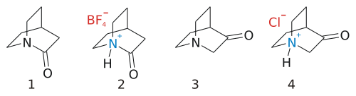 Quinuclidone structures: 1: 2-quinuclidone; 2: 2-quinuclidone hydrotetrafluoroborate; 3: 3-quinuclidone; 4: 3-quinuclidone hydrochloride Quinuclidone structures.svg