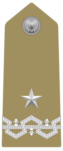 File:Rank insignia of generale di brigata of the Army of Italy (1973).svg