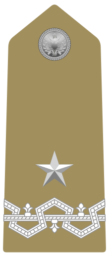 Rank insignia of generale di brigata of the Army of Italy (1973).svg