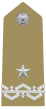 Rank insignia of generale di brigata of the Army of Italy (1973).svg