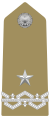 Grado per controspallina di generale di brigata dell'Esercito Italiano