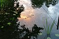 Reflections of a sunset in the Havel 02.jpg