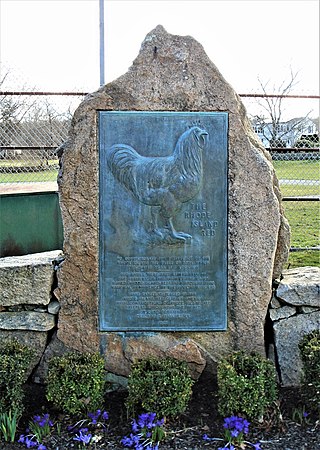 <span class="mw-page-title-main">Rhode Island Red Monument</span> United States historic place