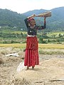 箕を使って米をより分ける、北インドはウッタラーカンド州の女性／2011年撮影。