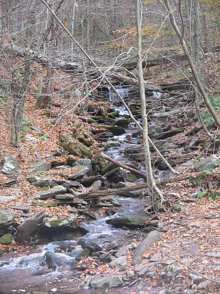 <span class="mw-page-title-main">Shingle Cabin Brook</span> River