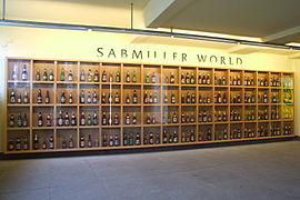 Wall-sized display case
