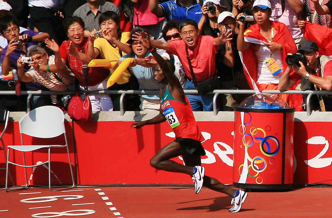 2008年夏季奧林匹克運動會田徑比賽—男子馬拉松