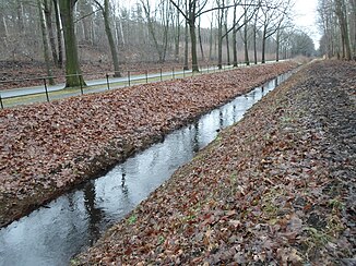 Der Schleichgraben an der Hauptstraße in Laubusch