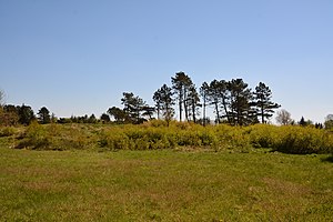 Schleswig-Holstein, Süderlügum, Naturerlebnisraum Posberg NIK 1965.jpg