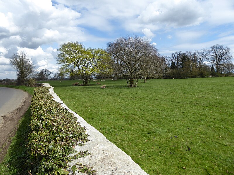 File:Sheep with lambs, Harnhill Park - geograph.org.uk - 4908496.jpg