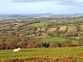 Thumbnail for File:Shropshire countryside seen from Clee Liberty Common - geograph.org.uk - 659832.jpg