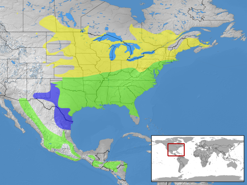 File:Sialia sialis distribution.png