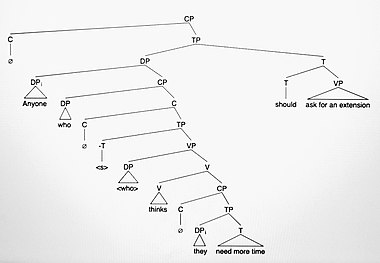 Syntax tree showing coreference in sentence (14) a Singular they --Syntax tree (1a).jpg