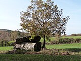 Dolmen Nougayrol