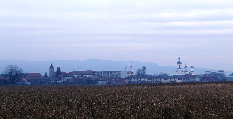 File:Someșeni, general view.jpg