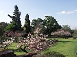 Johannesburg Botanical Garden