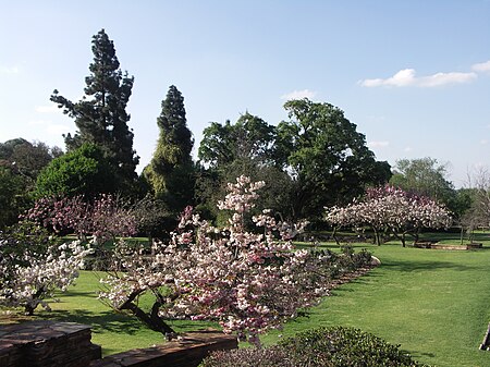 South Africa Johannesburg Botanical Garden 005