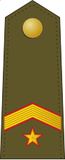 File:Spain-Army-OR-9a.svg