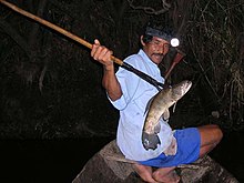 A successful gigger in the Amazon basin, Peru. Spear fishing Peru.jpg