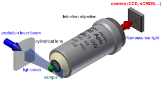 Light sheet fluorescence microscopy