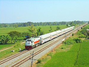 Kereta api Sri Tanjung saat melintas di persawahan Ngegong, Manguharjo, Madiun, 2020