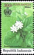 Stamp of Indonesia - 1993 - Colnect 252613 - Environmental Protection - Jasminum sambac.jpeg