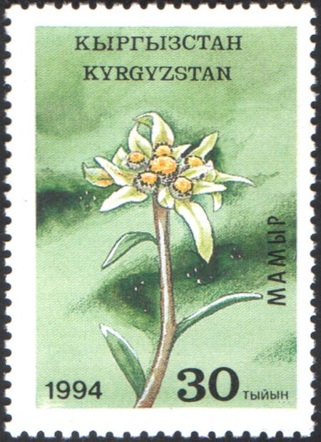 Fail:Stamp_of_Kyrgyzstan_034.jpg