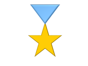 Star Icon with Triangle CC0.png