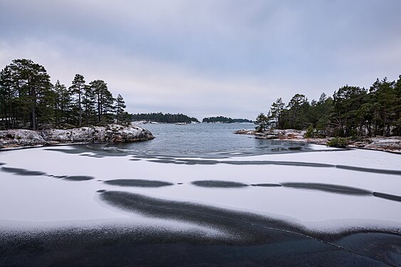 Winter in Stendörrens nature reserve, Sweden. Photograph: Kateryna Baiduzha