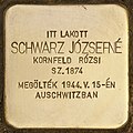 Stolperstein für Schwarz Józsefné - Józsefné Schwarz (Sárospatak).jpg