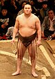 Sumo May09 Hakuho.jpg
