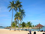 Thumbnail for List of beaches in Singapore