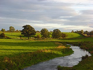 <span class="mw-page-title-main">River Petteril</span> River in Cumbria, England