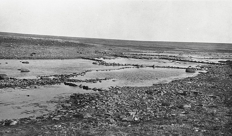 File:Three sets of fishing traps in creek near Bernard Harbour (38618).jpg