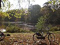 Tiergarten, Berlin, Germany - panoramio (2).jpg