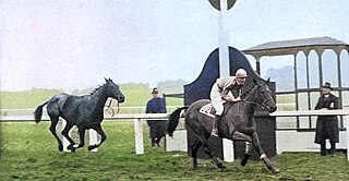 <span class="mw-page-title-main">Tipperary Tim</span> Irish Thoroughbred racehorse