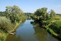 Rzeka Ropa w Trzcinicy, obszar Natura 2000